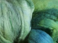La_verde floresta_1_640x480_2